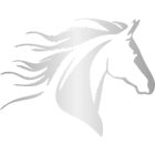 brandministrators.com